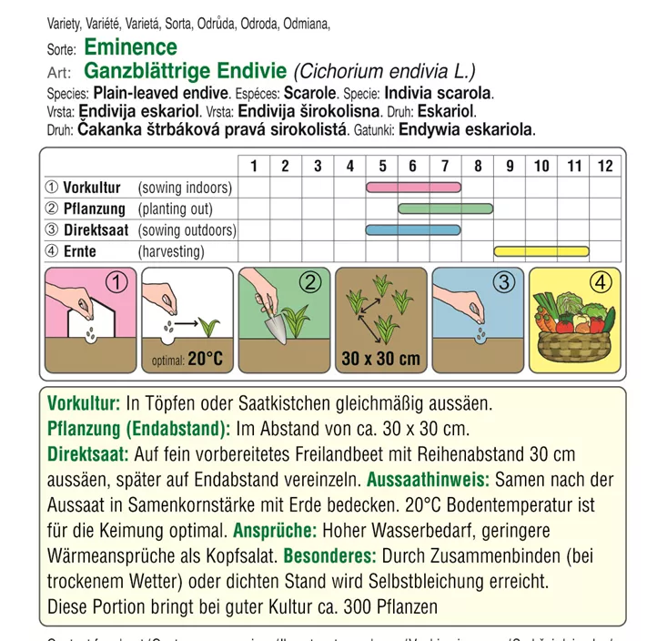 Winterendivie Eminence