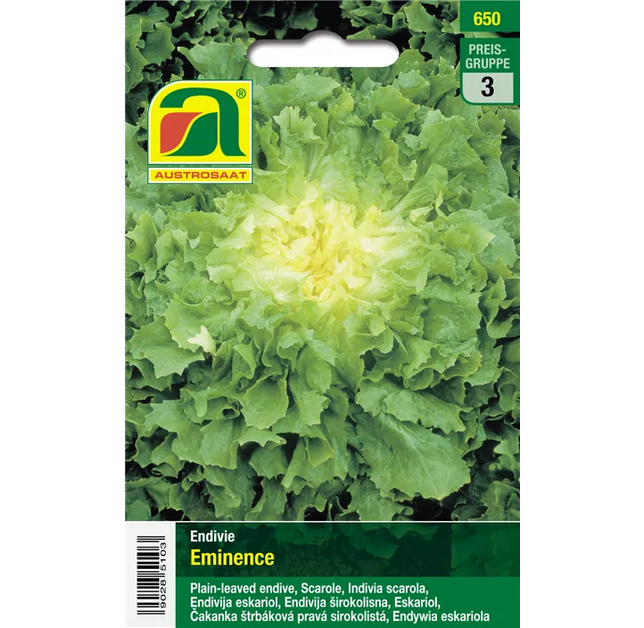 Winterendivie Eminence