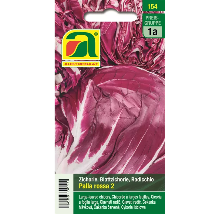 Zichoriensalat Palla Rossa 2