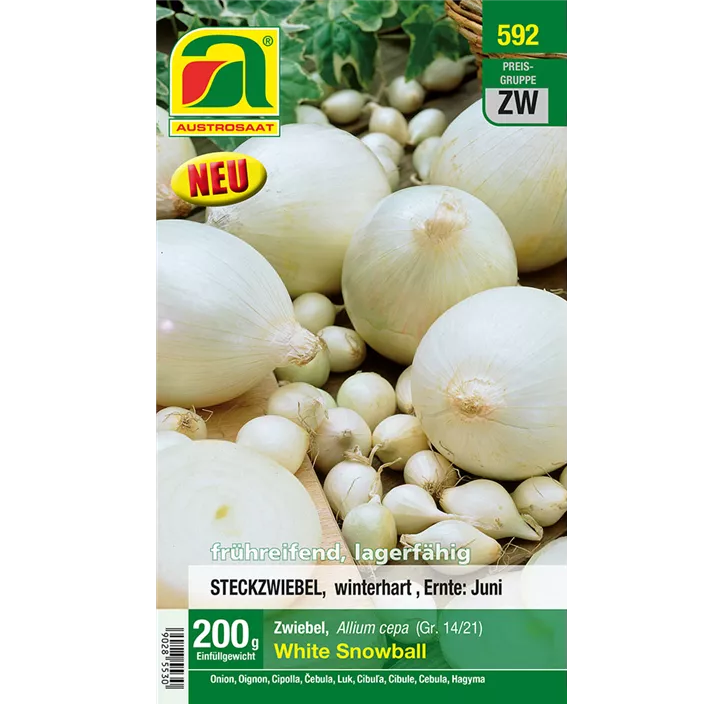 Wintersteckzwiebel weiß 'White Snowball'