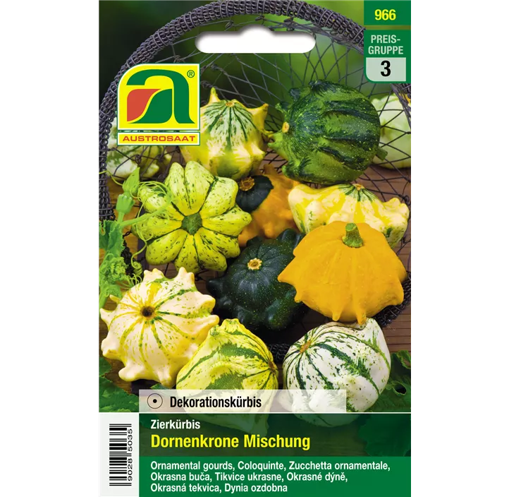 Zierkürbis Dornenkrone