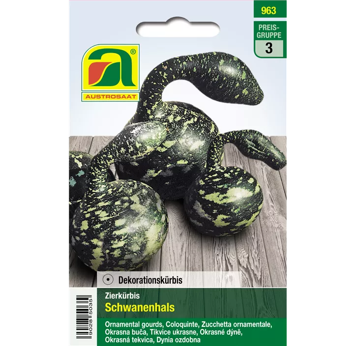Zierkürbis Schwanenhals