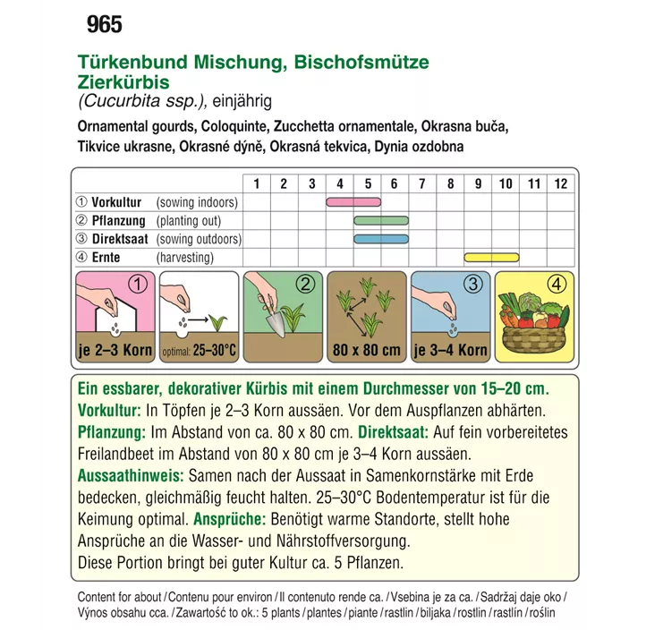 Zierkürbis Türkenbund