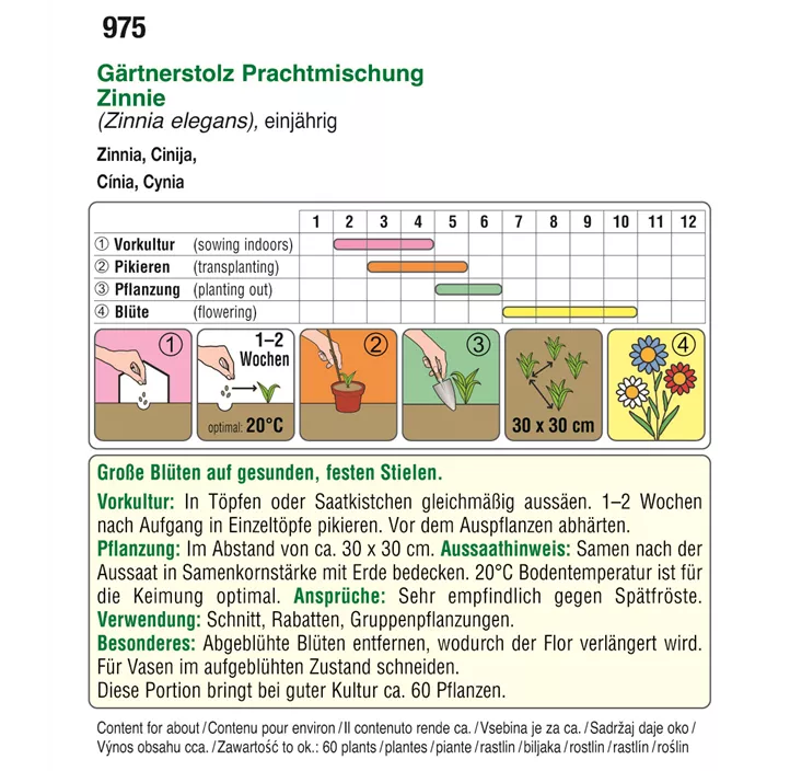 Zinnia Gärtnerstolz Mischung