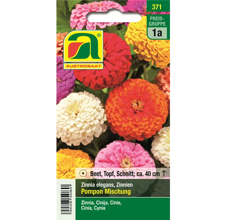 Zinnia Pompon Mischung