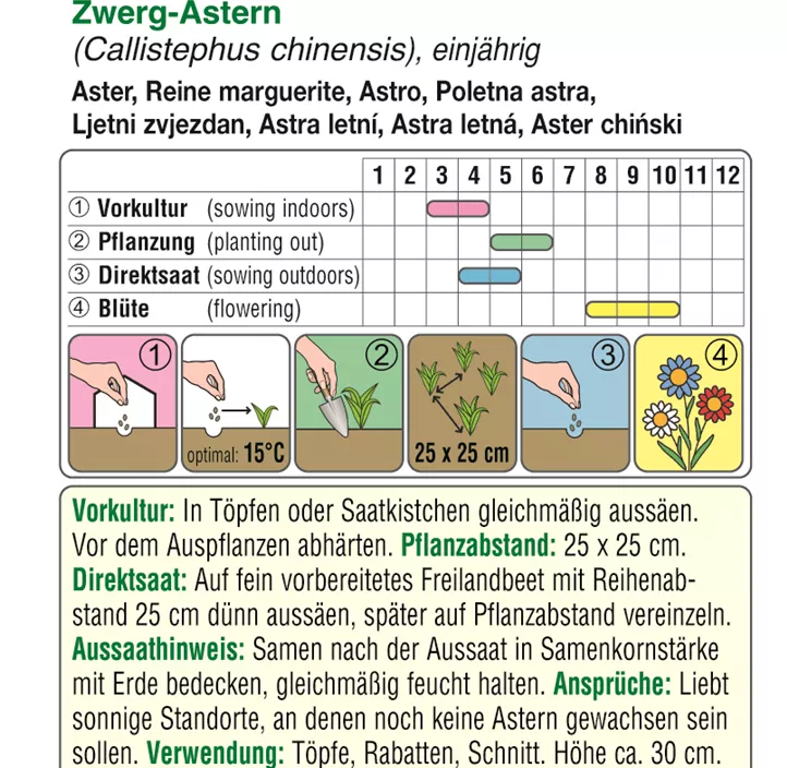 Zwerg-Astern niedere Mischung