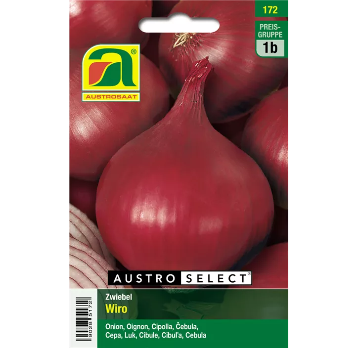 Zwiebel Wiro