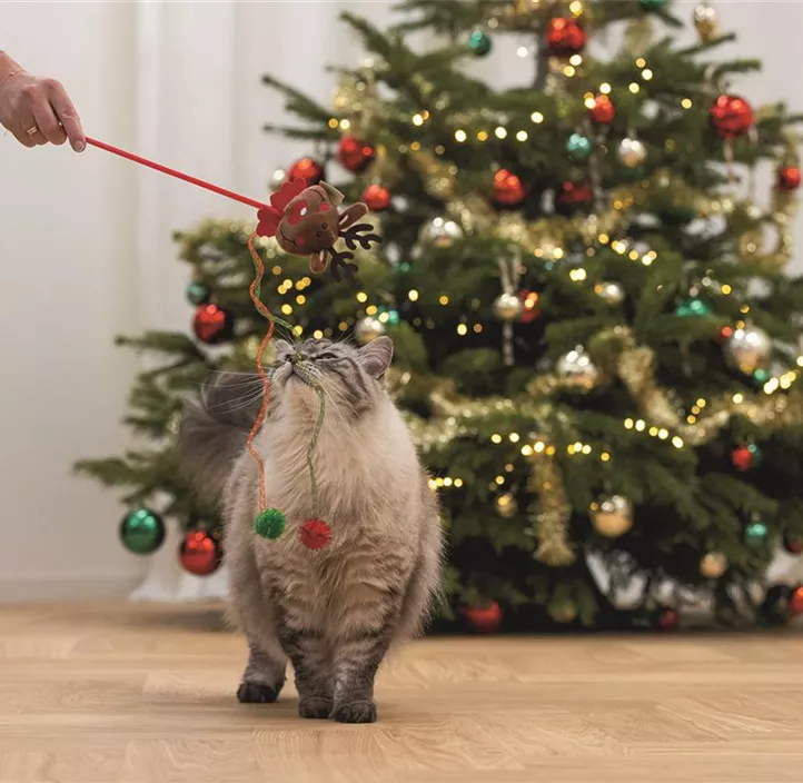 Katzenangel Christmas Reindeer