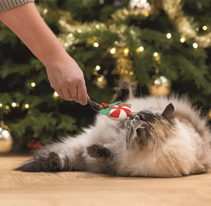Katzenspielzeug Matabi Lollipop