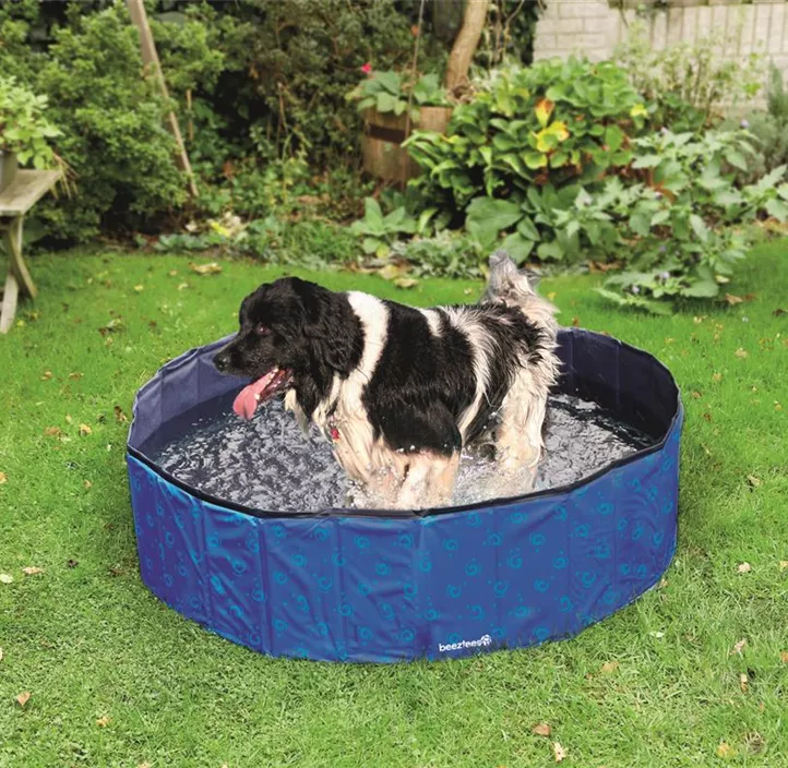 BZ Doggy Dip Pool