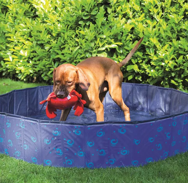 BZ Doggy Dip Pool