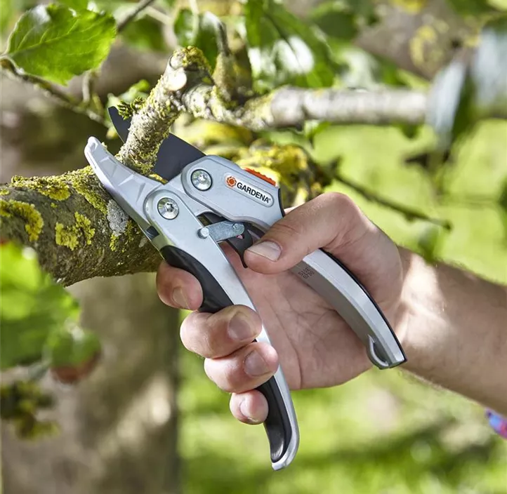 Comfort Ratschenschere Smart Cut