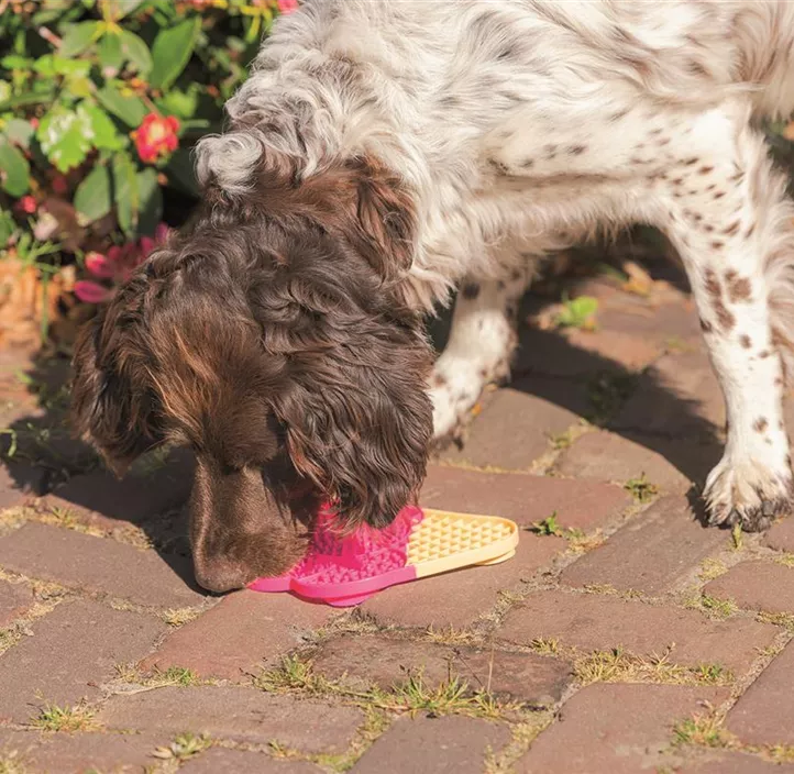 Hunde-Schleckmatte