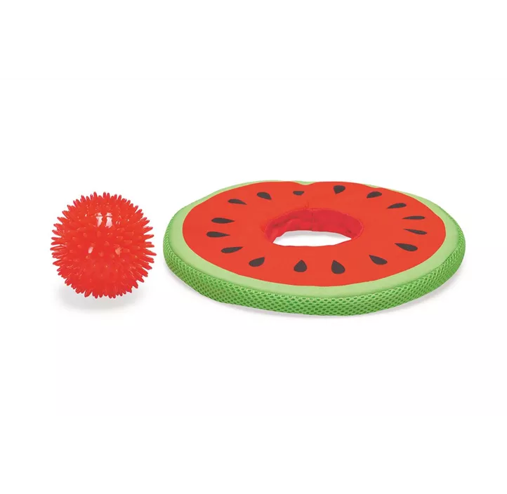 Hundespielzeug Melon Spikie