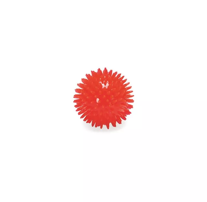 Hundespielzeug Melon Spikie