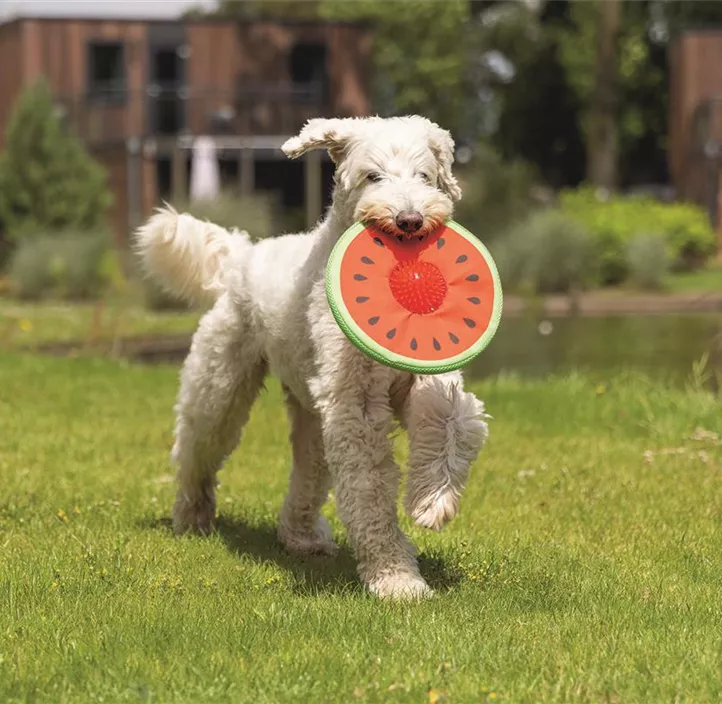 Hundespielzeug Melon Spikie