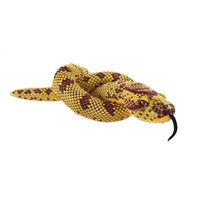 Snake Eco Schlange Anaconda