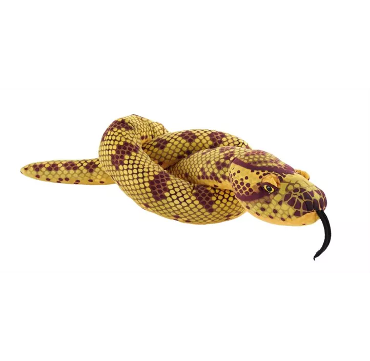 Snake Eco Schlange Anaconda