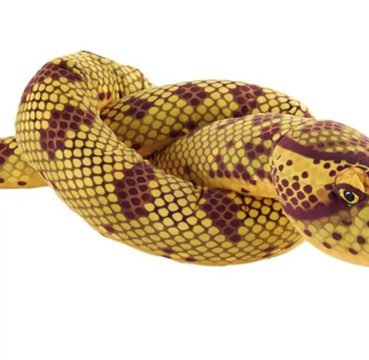 Snake Eco Schlange Anaconda