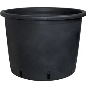 Baumtopf