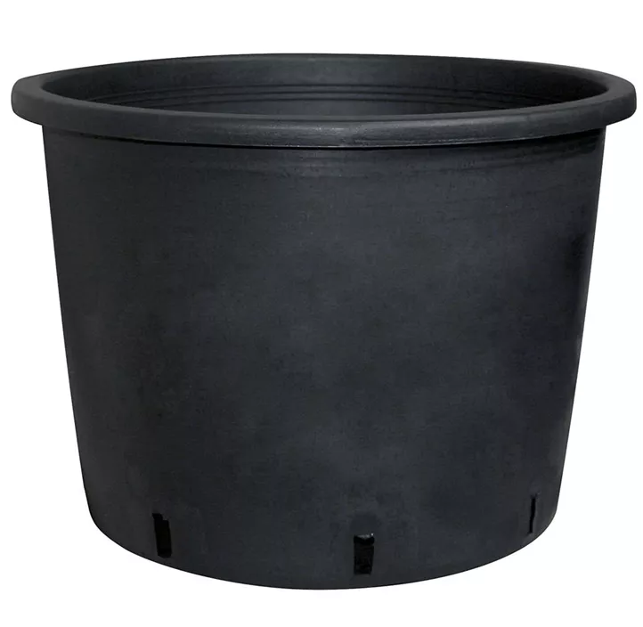 Baumcontainer