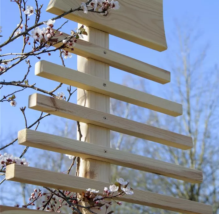 Rankhilfe Fraxinus-Blatt
