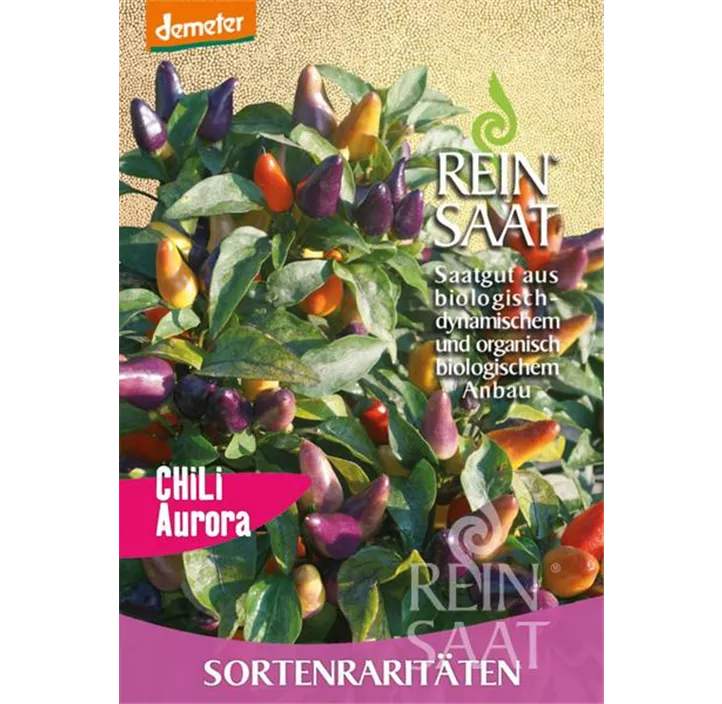 Minichili Aurora