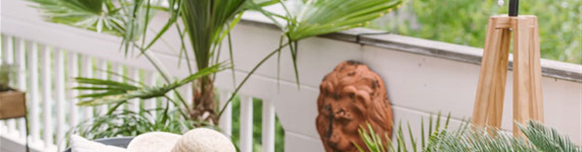 grüne palmen auf einem balkon grüne palmen auf einem balkon