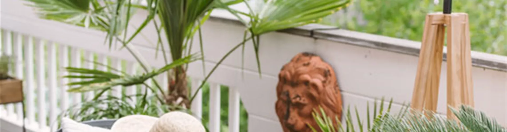 Tropischer Urlaub zu Hause - Bellaflora