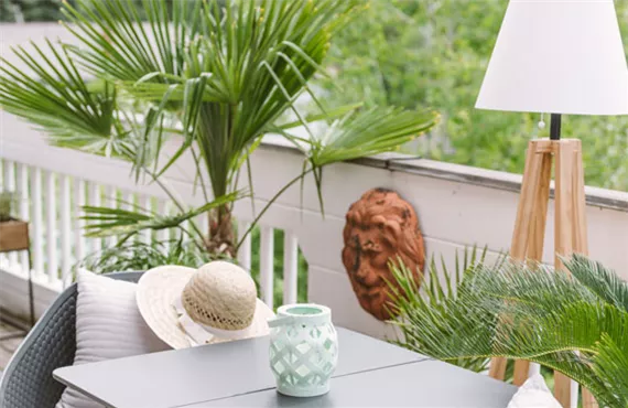 grüne palmen auf einem balkon grüne palmen auf einem balkon