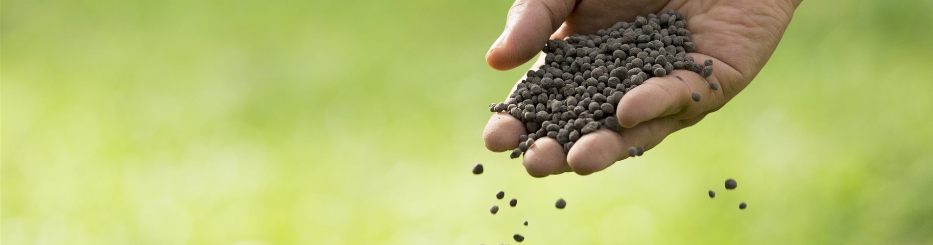 Duengen_iStock-918460358 Duengen_iStock-918460358