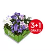 bellaflora Gartencenter GmbH