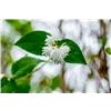 bellaflora Gartencenter GmbH