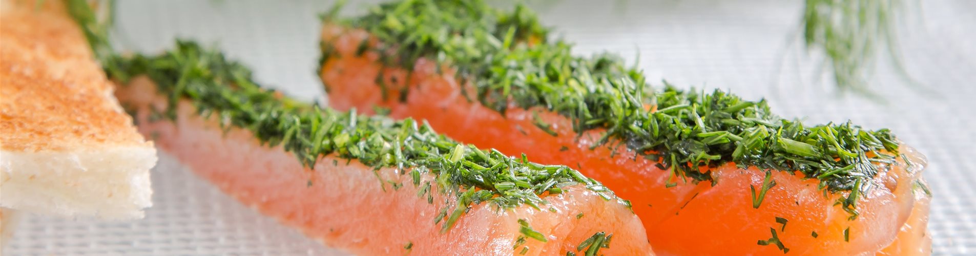 Dill_mmg-design-215-1185-1206-3502-2335 Dill_mmg-design-215-1185-1206-3502-2335