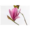bellaflora Gartencenter GmbH
