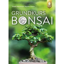 Grundkurs Bonsai