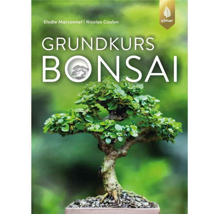 Grundkurs Bonsai