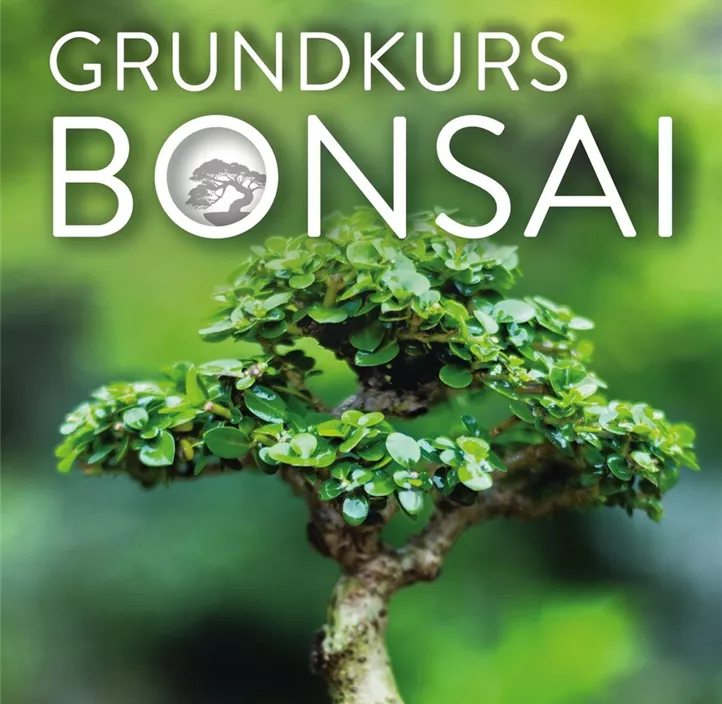 Grundkurs Bonsai