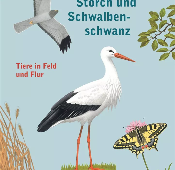 Hamster, Storch und Schwalbenschwanz