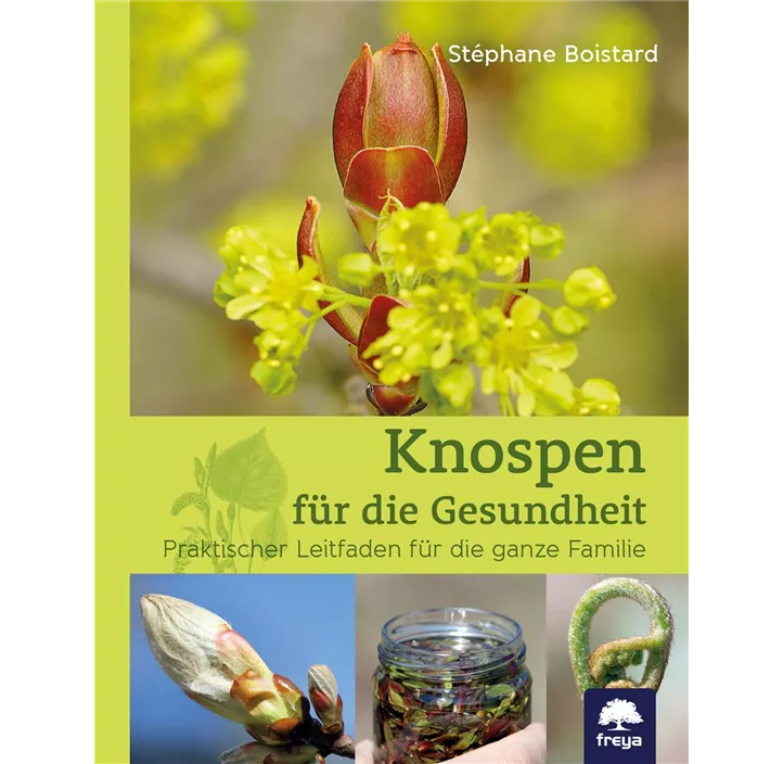 Knospen für die Gesundheit