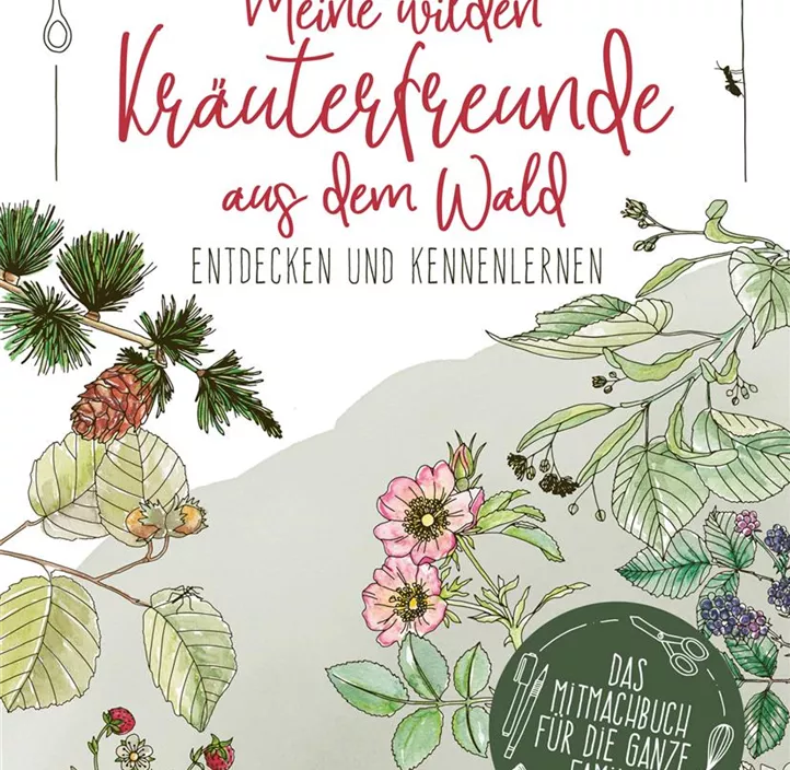 Meine wilden Kräuterfreunde aus dem Wald