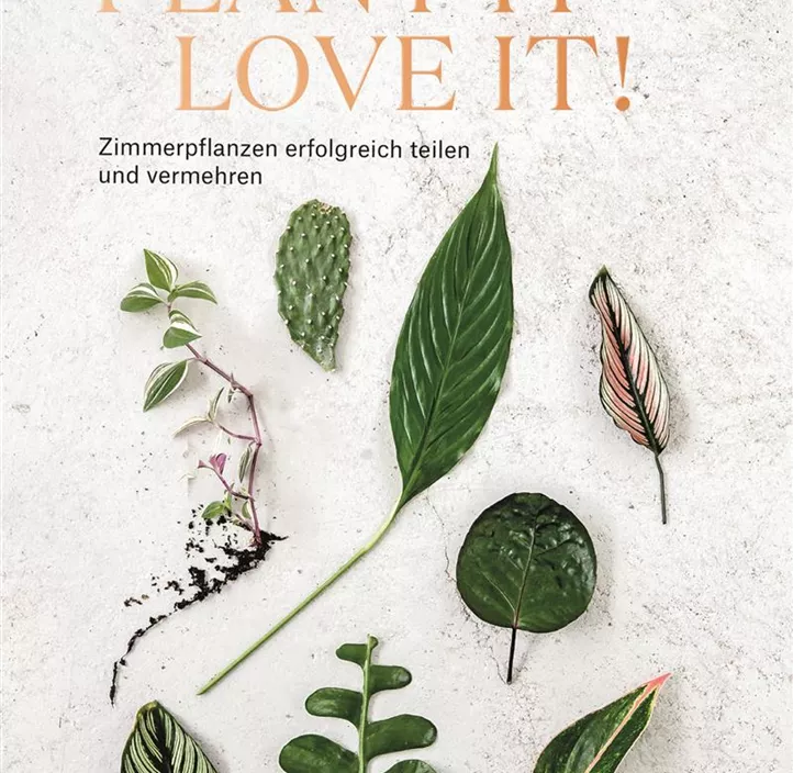 Plant it - Love it!