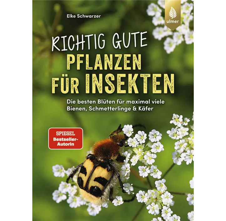 Richtig gute Pflanzen für Insekten