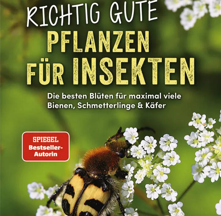 Richtig gute Pflanzen für Insekten