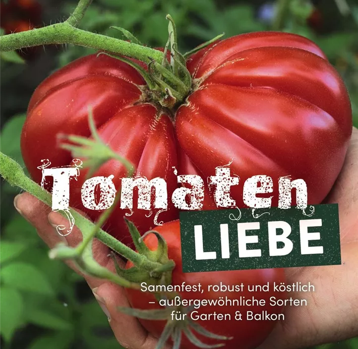Tomatenliebe