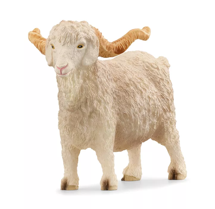 Angoraziege