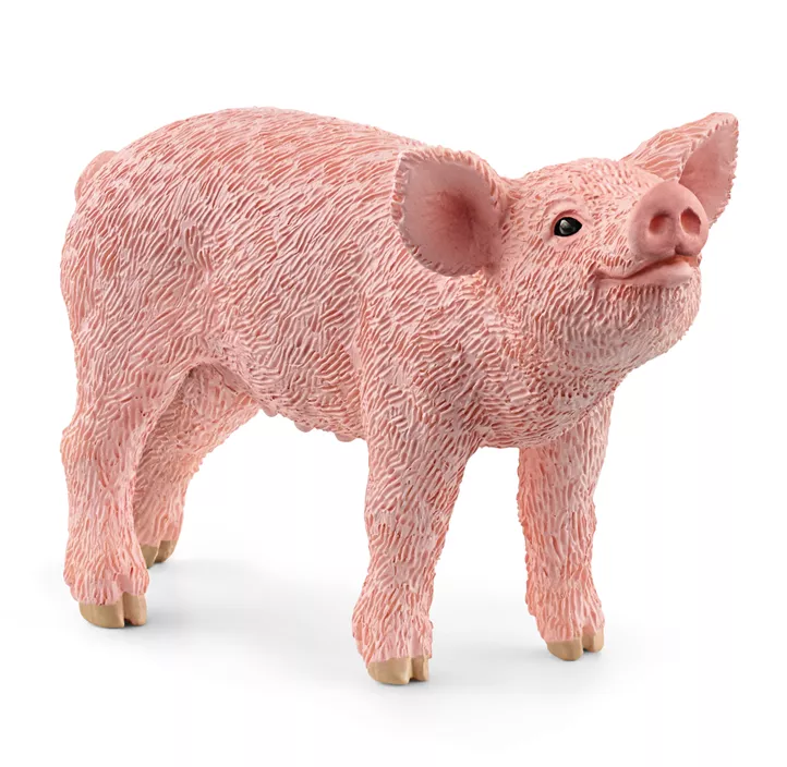 Ferkel