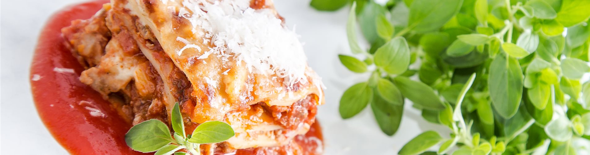 Oregano_kompakt_mmg-design-229-70-642-4235-2382 Oregano_kompakt_mmg-design-229-70-642-4235-2382