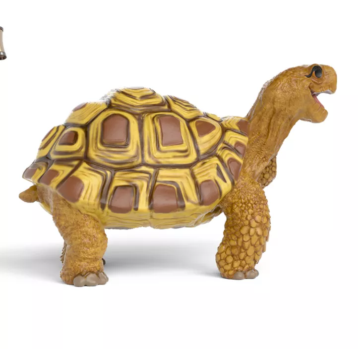 Schule der magischen Tiere - Schildkröte Henrietta