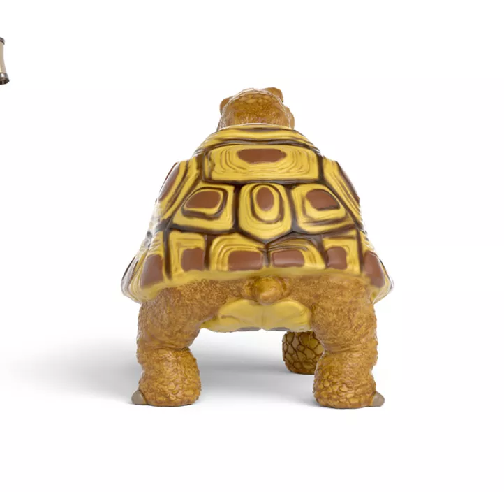 Schule der magischen Tiere - Schildkröte Henrietta